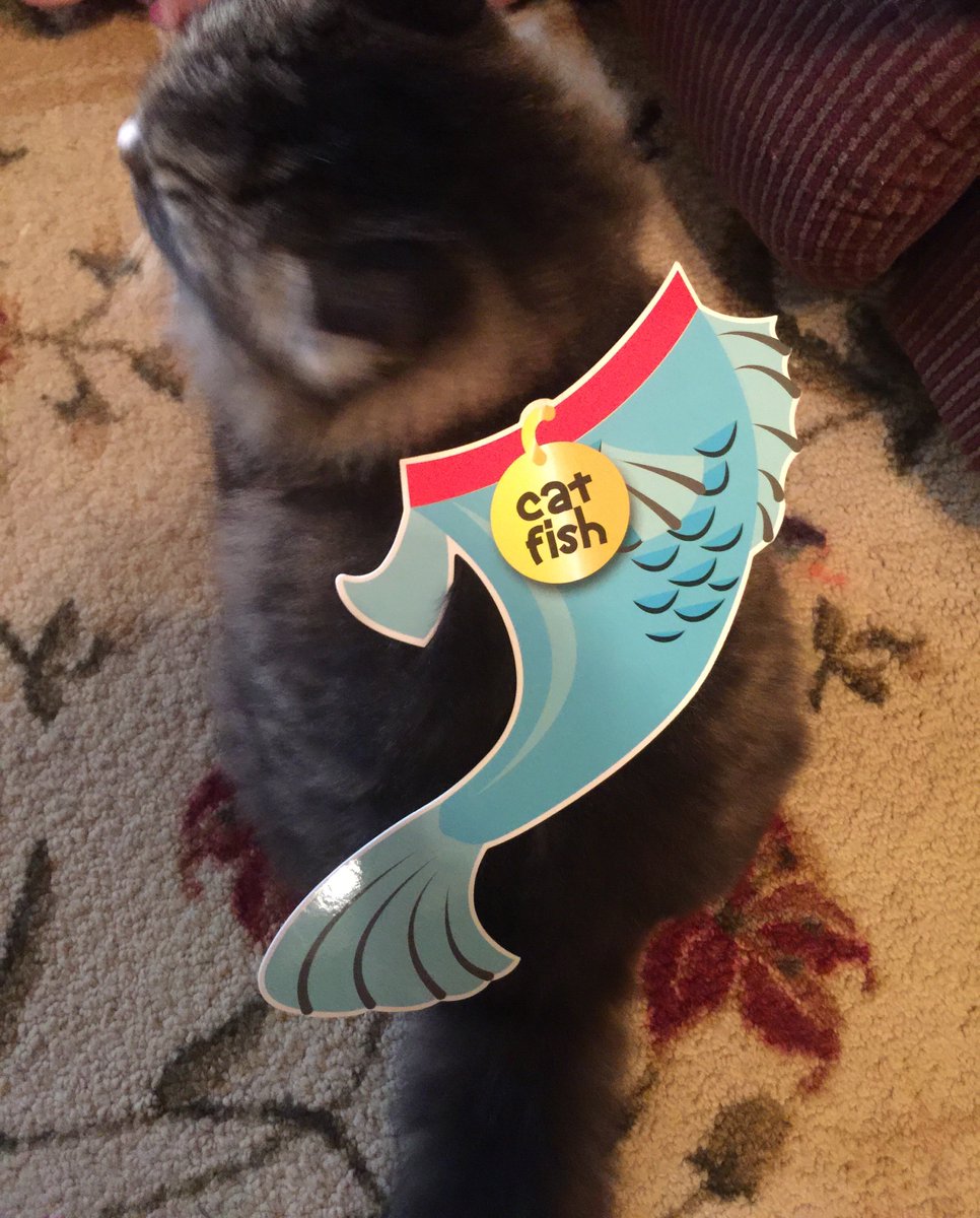 EseaUgirl's tweet image. Someone call @MTV 🐟😹 You've been catfished. I'm waiting on a phone call from @NevSchulman 😁 #MyTVdebut