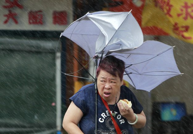 clipka_'s tweet photo. aren't we all just trying 2 eat a pork bun during a deadly typhoon. https://t.co/Iw8M35DbEW