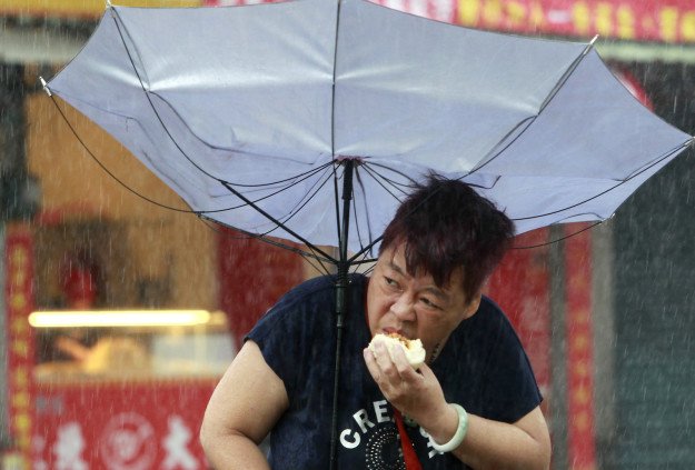 clipka_'s tweet photo. aren't we all just trying 2 eat a pork bun during a deadly typhoon. https://t.co/Iw8M35DbEW