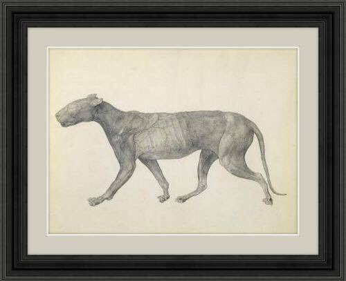 'Stubbs and the Wild' at Holburne Museum in Bath on 2nd Oct. View our collection here... goo.gl/Yo6U3G