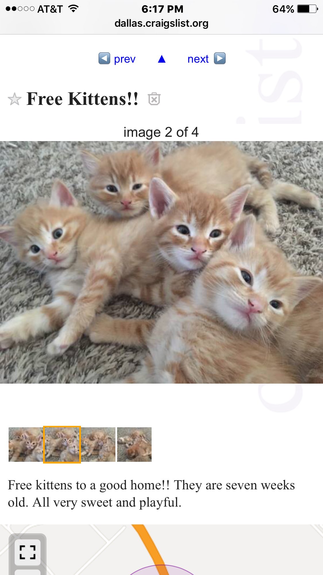 Craigslist hotsell free kittens