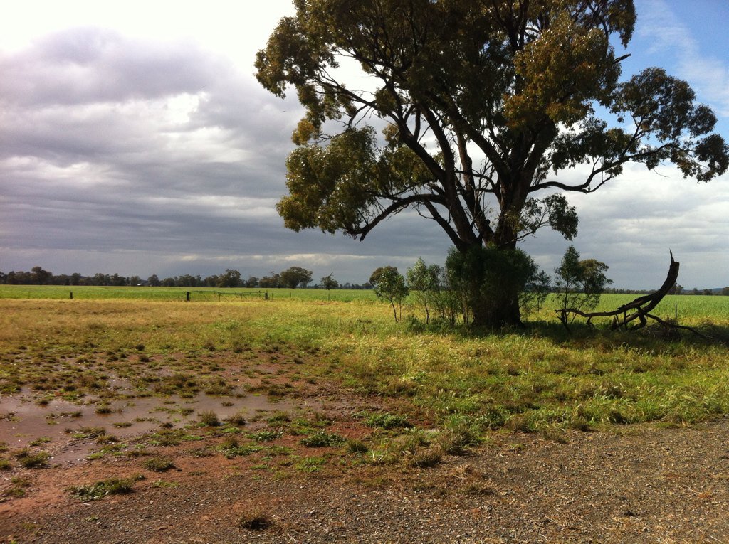 CWFS_Condo's tweet photo. Kicking off the Gunning Gap field day hopefully the sun stays out 😊 @theGRDC #ausag #stubbleproject https://t.co/2mU6cxqjub