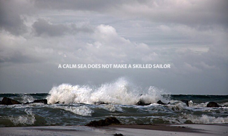 sharedlessons's tweet image. Your experiences will make you well versed and brightier. No matter if its a good or bad one