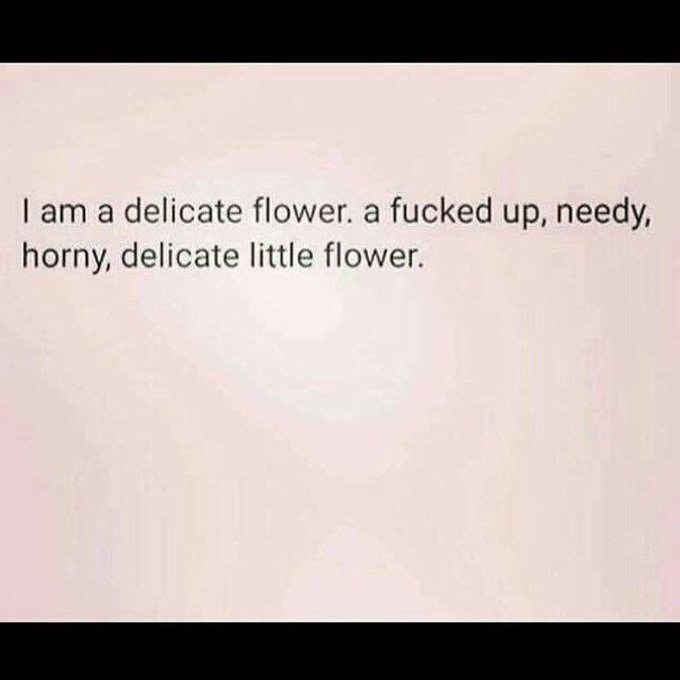 🤗🌹😏 https://t.co/YzOa7XJISn<a href="/tag/onmfc"class="tags"><span>#onmfc</span></a>