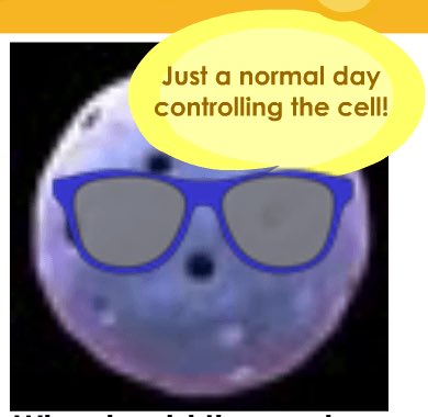 DNA4dayz's tweet photo. @Goodescience #organellewars #SageCreekScience https://t.co/3142YHhsXM