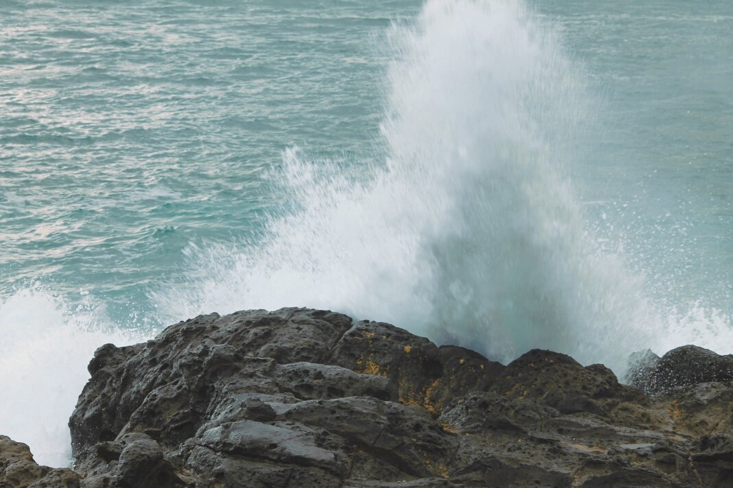stevenzonsr's tweet photo. 🌊🐳🐟 https://t.co/nBMCrTHxpl