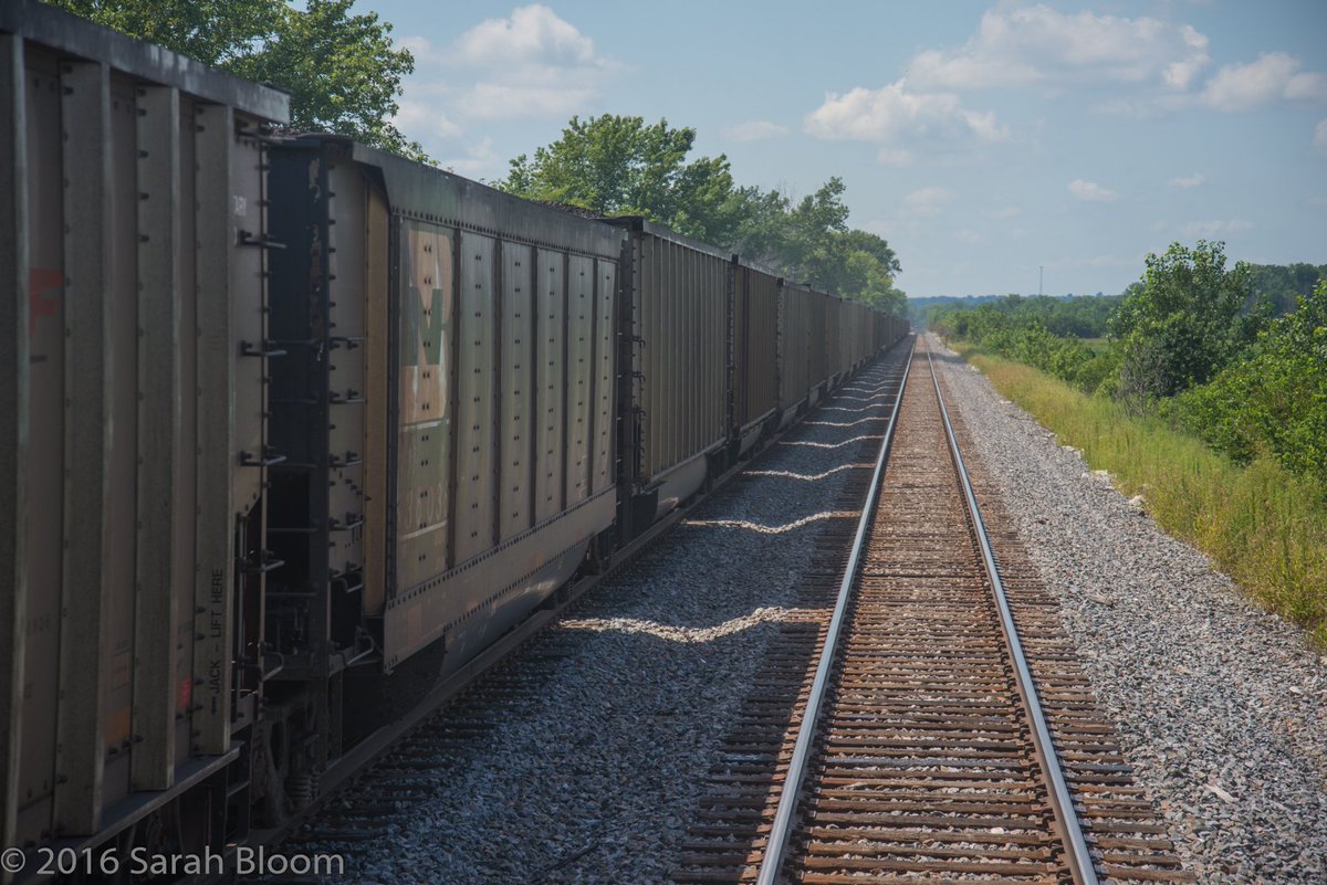 SarahR_Bloom's tweet photo. My 7th @MillennialTrain blog post is up @ https://t.co/nopY5g02UY! Photo from #Iowa. #MTPtrain #journey #adventure #Denver #MKE #railways https://t.co/cYSGsgpOSb