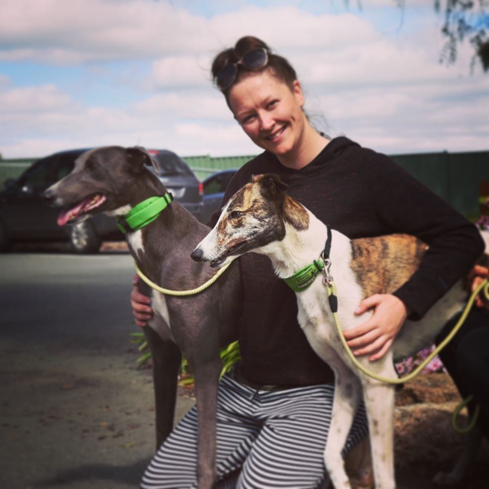 GAP_VIC's tweet photo. Remember Teddy our foster-to-adopt grey from 2 weeks ago? Yesterday his adoption got formalised, hooray! #GreyhoundLove #FurEverAfter https://t.co/A4aUgpWe6D