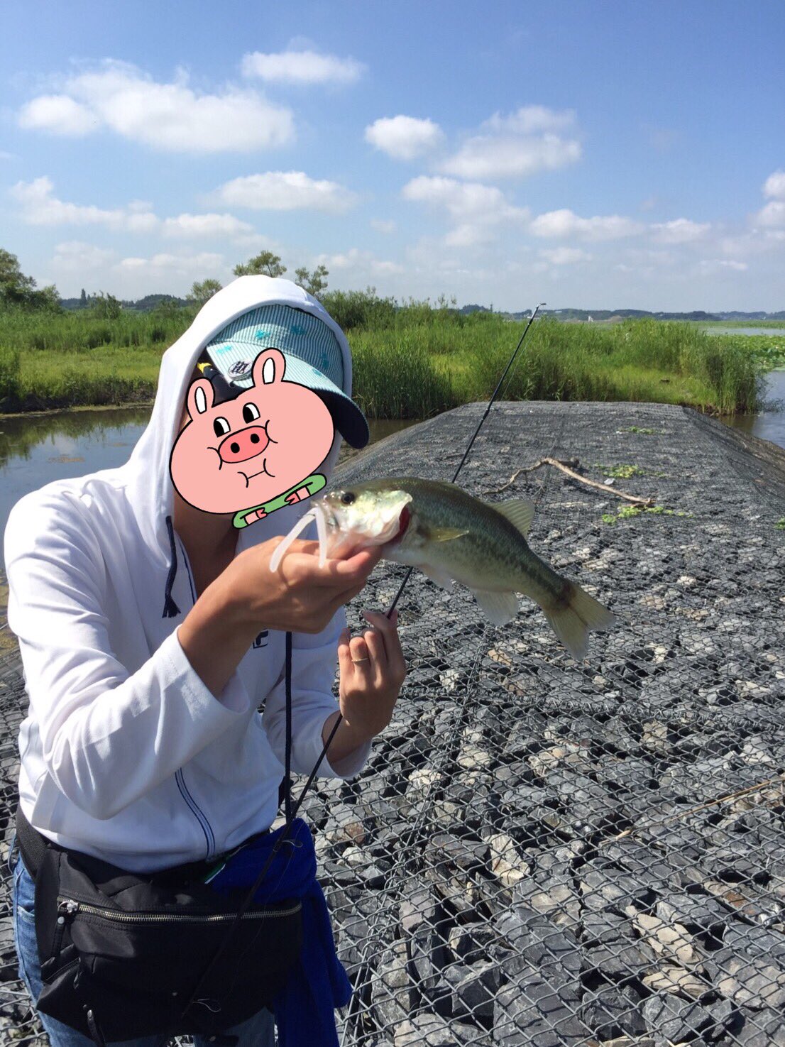 Cp さくみん みずほ かなり地元のバス釣りのフィールド長沼が ボート場でもあるんだけどオリンピックの候補地で話題になっちゃった もし決定できればこれを機に宿泊施設が出来てアングラーは来やすいのかな 写メは 長沼のバス ここの奥は蓮だらけ