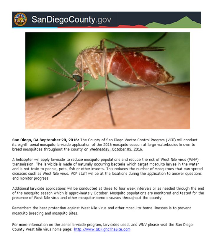 SaludHEALTHinfo tweet media