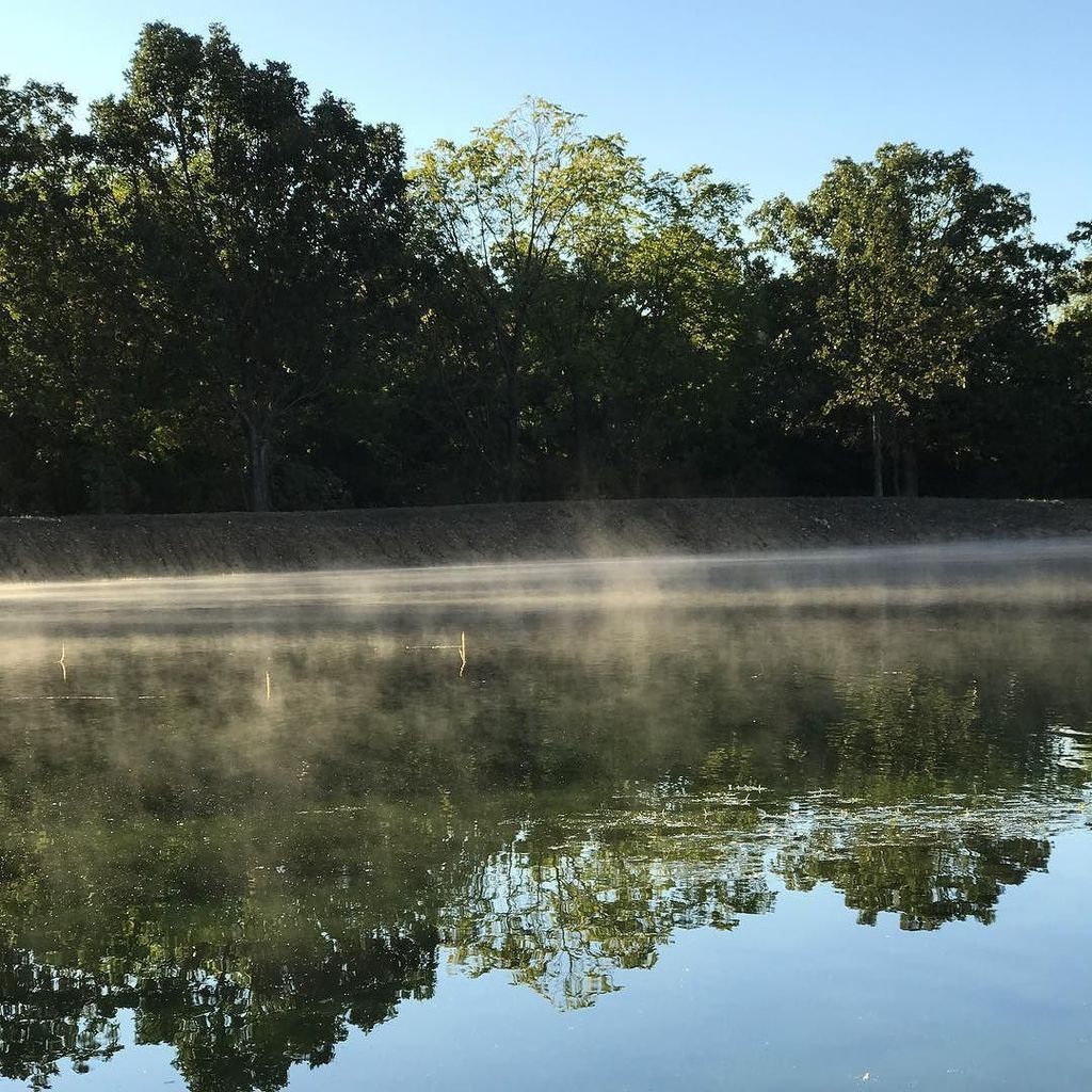 FinneyM14's tweet photo. Steamy ponds are a sure sign that fall is here. https://t.co/olgo0mOGXS https://t.co/VAGOlUAZzy