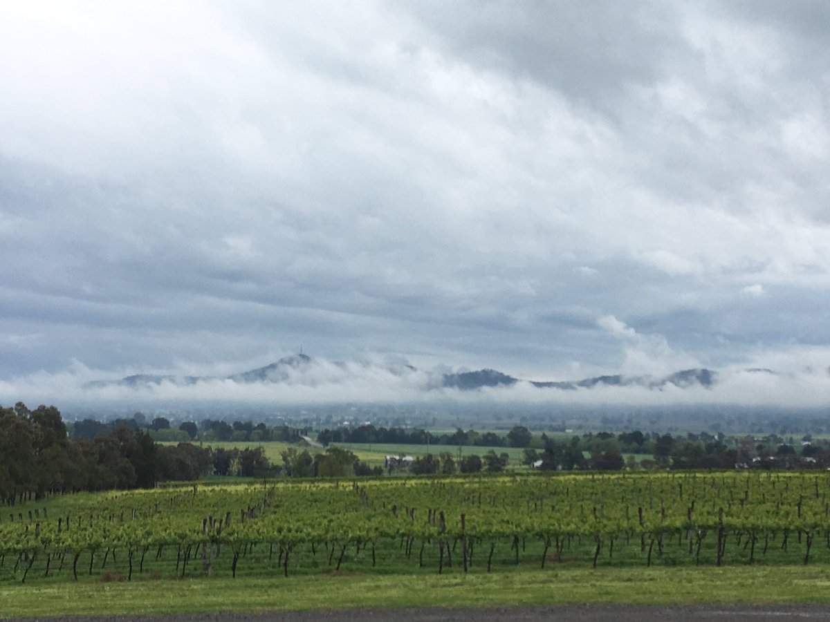 smallforest_by's tweet photo. Kinda beautiful scene after heavy rain. More to come...π¦π¦#upperhuntercountry #denmen #visitnsw https://t.co/0BmhMJbwNy