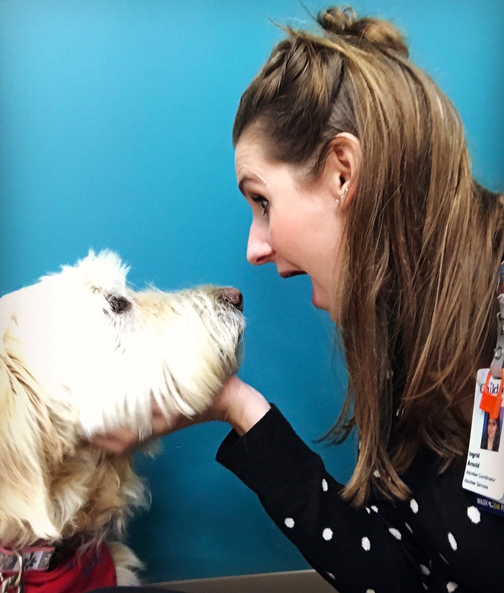 ingrid_arnold's tweet photo. So fortunate that my job involves managing the #PetTherapy program @childrensmn! #pawh #dogselfie #saycheese #amazingis #childrensmn https://t.co/zdh2d0XjiG