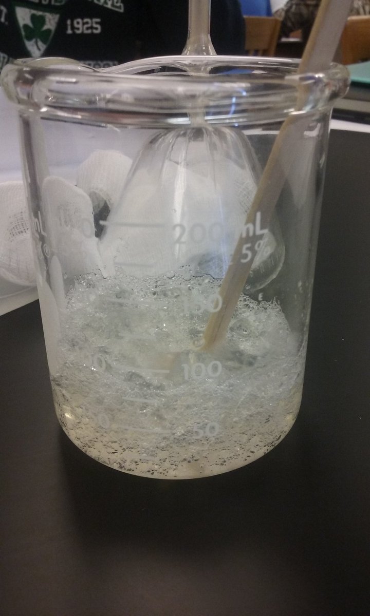 hayleyc019's tweet photo. Learned about digesting enzymes in lab this week! #106Week6 @UNKBiol106CW https://t.co/8RW1BLVfN9