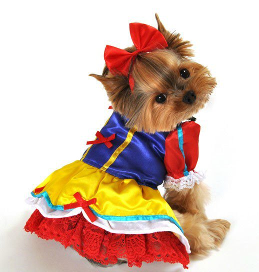 MainStrasseKY's tweet photo. What's your four-legged friends favorite fairytail? The 15th annual Dog Costume Pawrade is Sunday, October 23rd, 12:30-3:30pm. https://t.co/uijcQqytKd