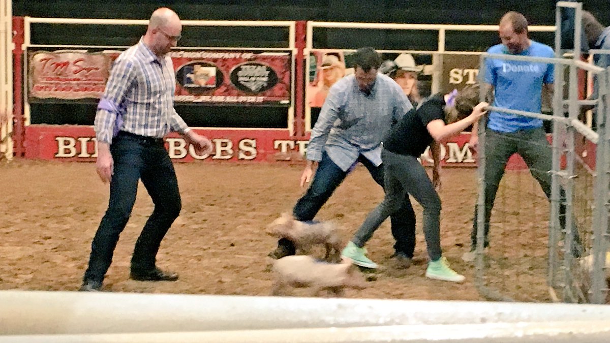 meghan_speer's tweet photo. Highlight of the #NIOSummit? Watching @bradjdavies and @jon_sarles try and pen pigs! https://t.co/ghmD78G2RW
