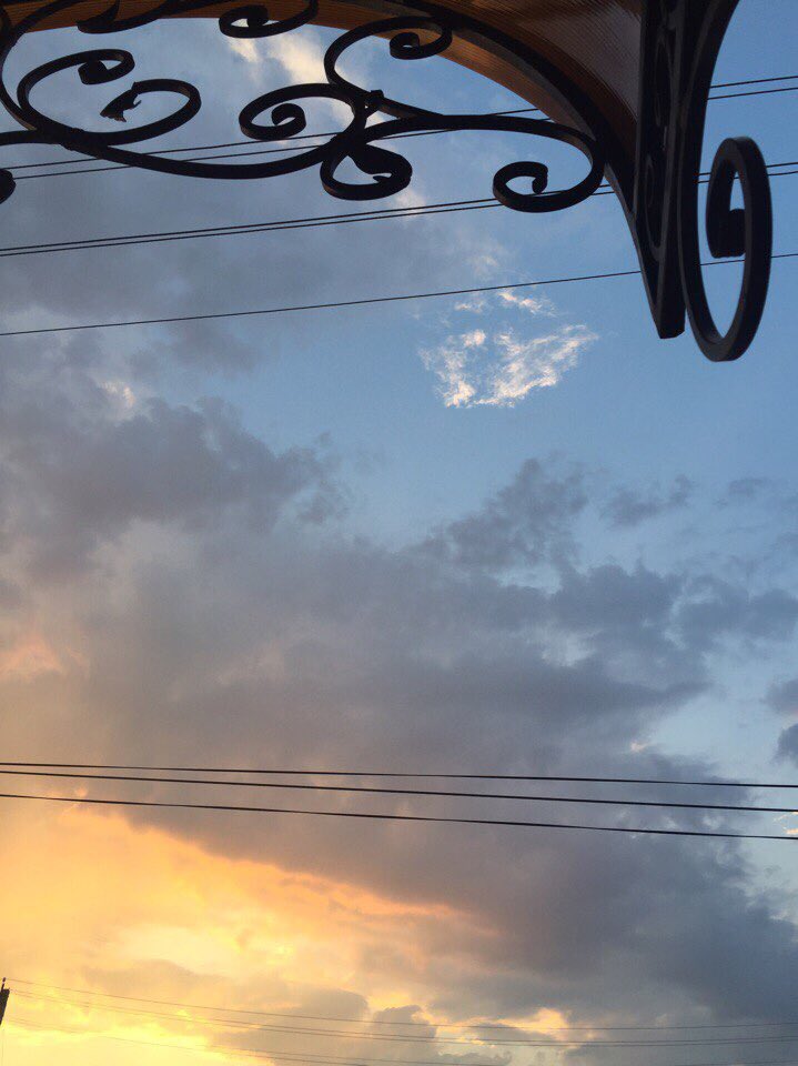 Huggelli's tweet image. 😻