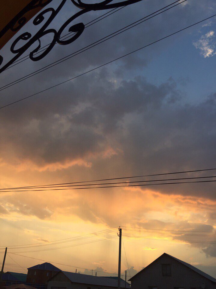 Huggelli's tweet image. 😻