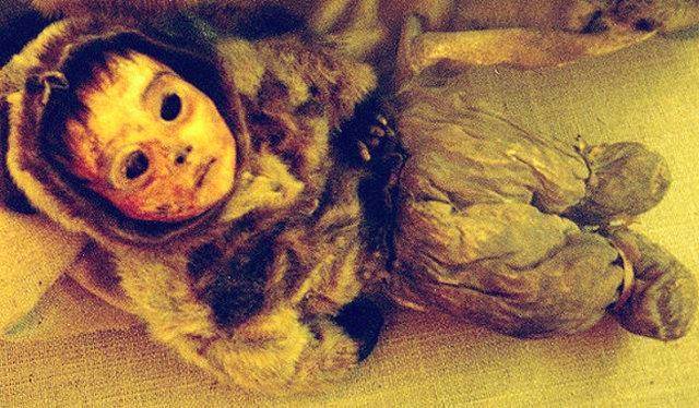 Bild auf Twitter anzeigen