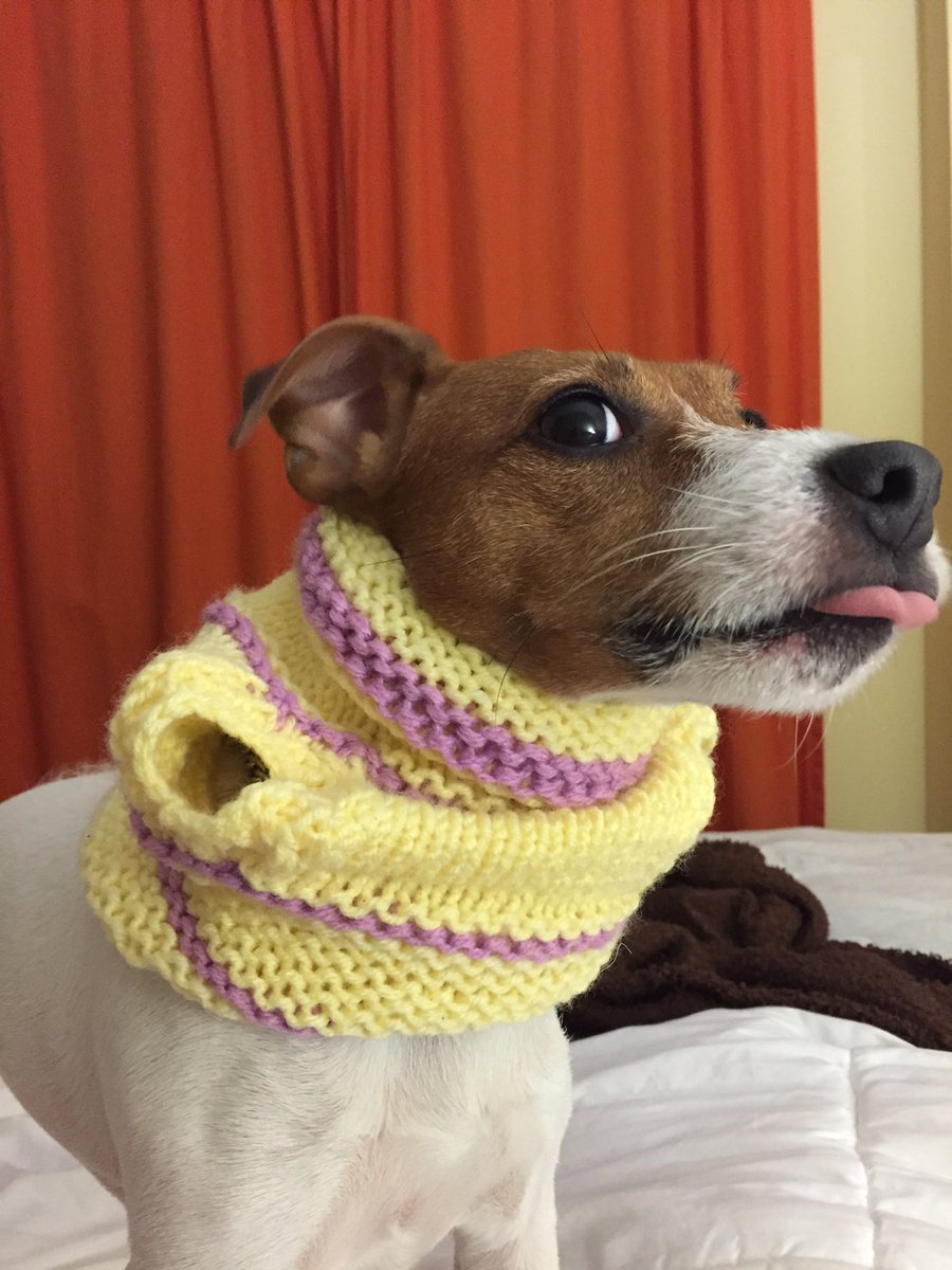 pennyjrt's tweet photo. Not digging the sweater https://t.co/h13qz9tbeT