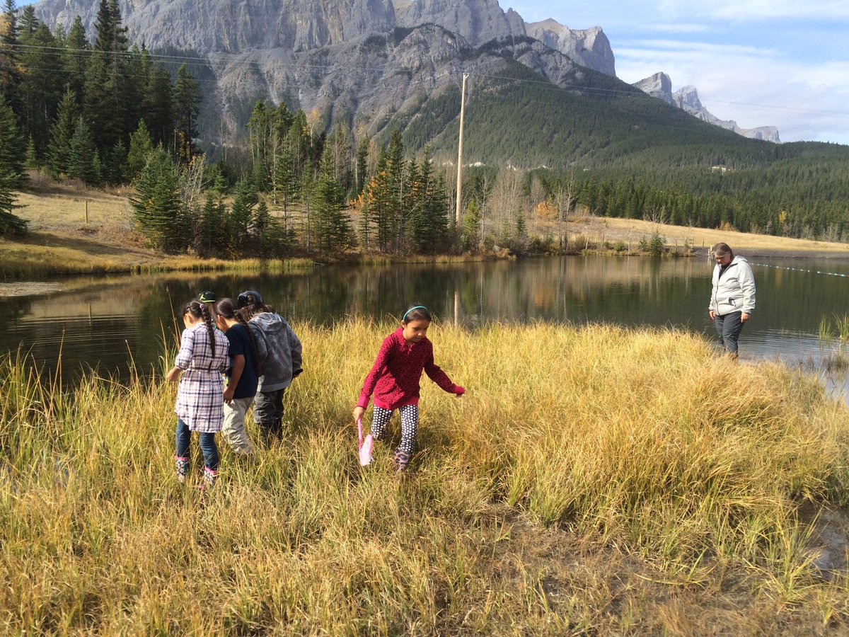 shannonperron1's tweet photo. Pond Study 1 complete! Fun day in grade 2:) @Exshawschool #engagement #amazingartists #findingbugs https://t.co/coaOxYwALY