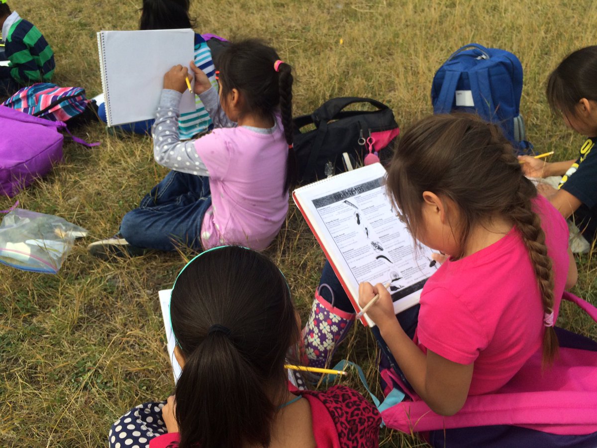 shannonperron1's tweet photo. Pond Study 1 complete! Fun day in grade 2:) @Exshawschool #engagement #amazingartists #findingbugs https://t.co/coaOxYwALY