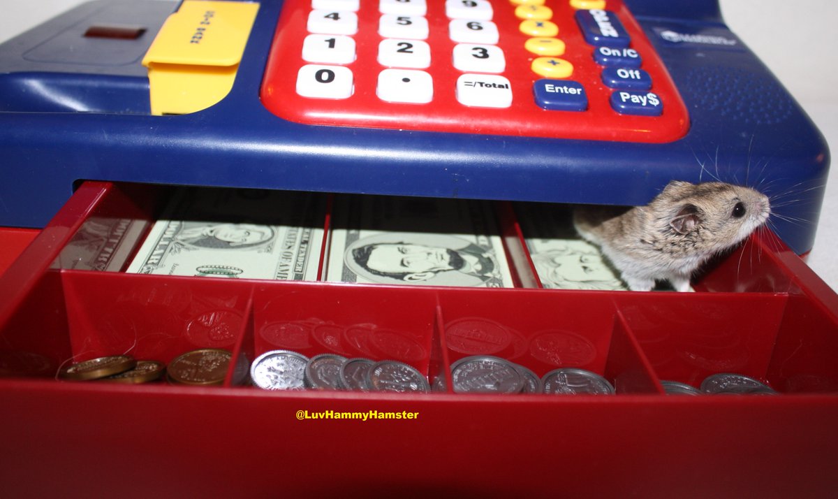 #IfAGenieGrantedMeAWish Phase 2 of the <a href="/SaveKidsCastle/">SaveKidsCastle</a> would be completed so kids of all abilities can play together #park #Hamster #donate