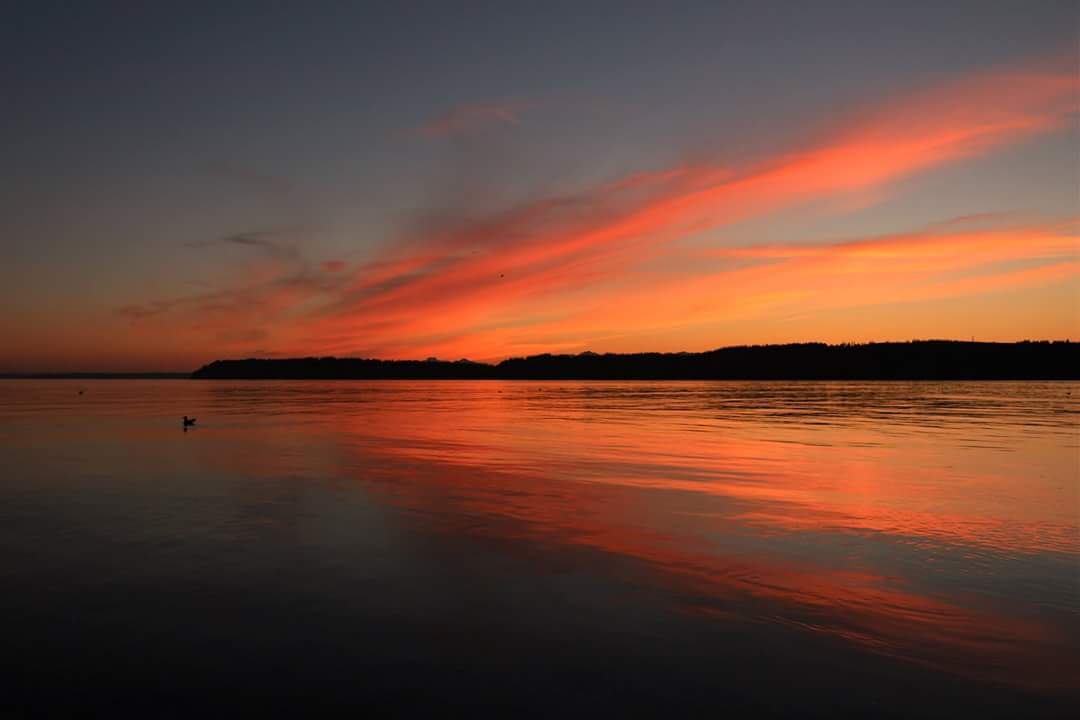 Just can't get enough of tonight's sunset. @FredHuston captured these pics in Mukilteo. Thanks for sharing!