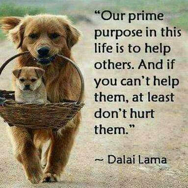 mwangindich's tweet photo. https://t.co/UEoKFLd4Nd