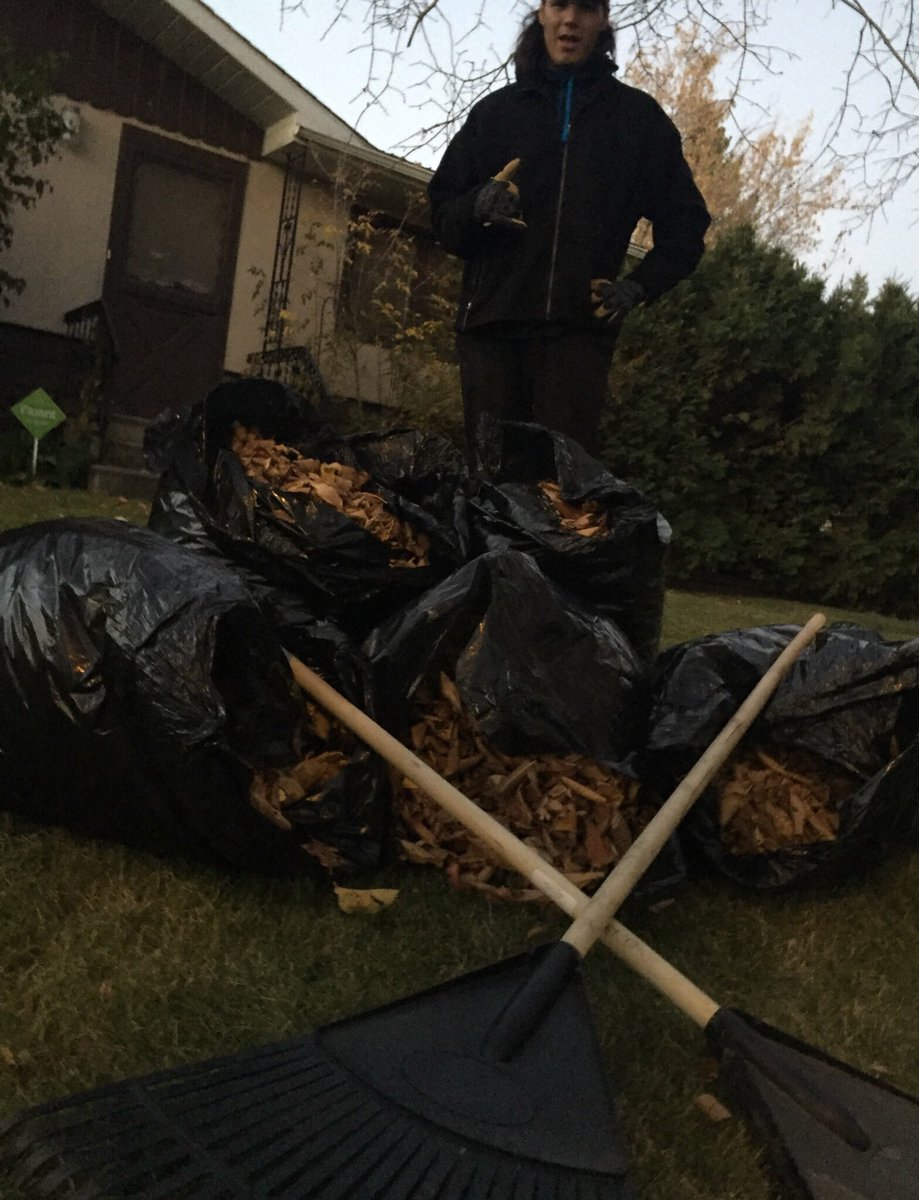 Andyhenderson29's tweet photo. "BE A GOOD ANCESTOR" picked up leaves in Olds #LEAVESSERVEDTHEIRPURPOSE #FORTHEBETTEROFTHETREE #ROWtheBOAT #WEROWASONE @OGhockey @latts16 https://t.co/y0COMVK8mL