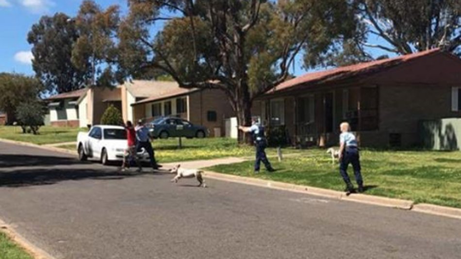 CuffdApp's tweet photo. Meanwhile in Australia. Shocking images of police shooting Aboriginal man swarm social media https://t.co/F6Cep3zBAu https://t.co/4fo4S89rOz