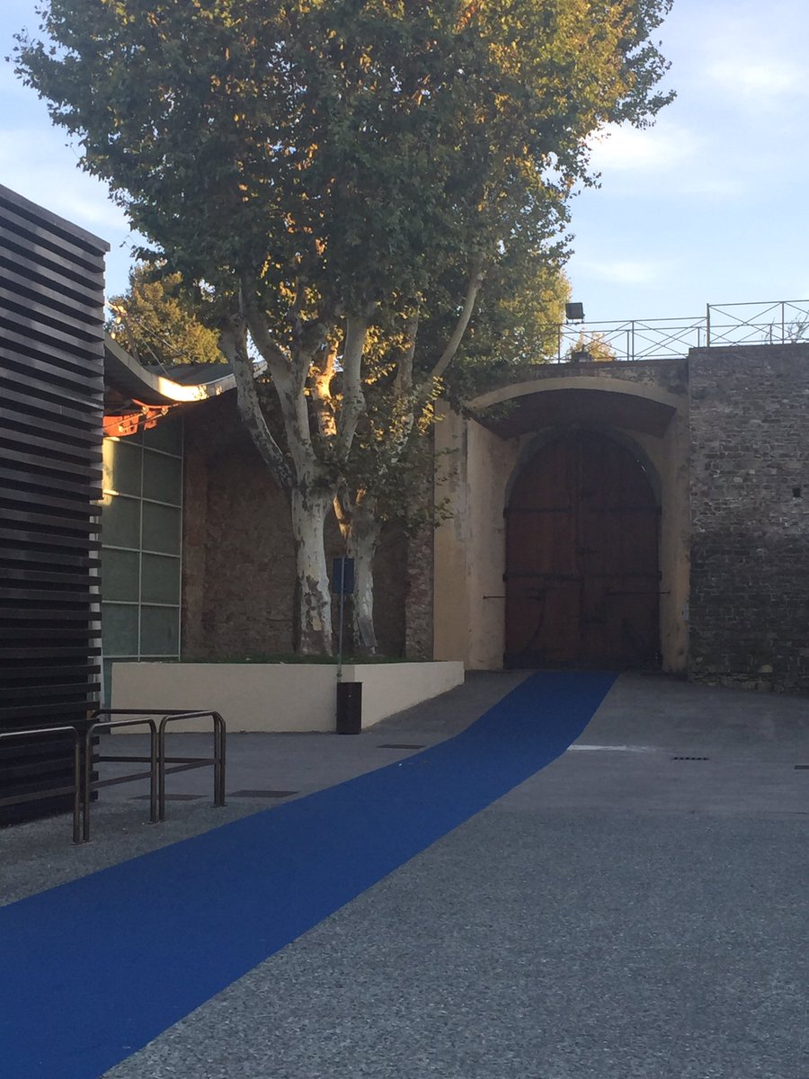 Arrivederci <a href="/WUWHSCONGRESS/">WUWHS CONGRESS</a> Thank you for an amazing week. I have so much knowledge to take away. 😢✈️