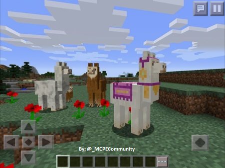 _FlaxYT's tweet photo. RETWEET if you want to see Llamas in #MCPE! https://t.co/LLwtTg0pwd