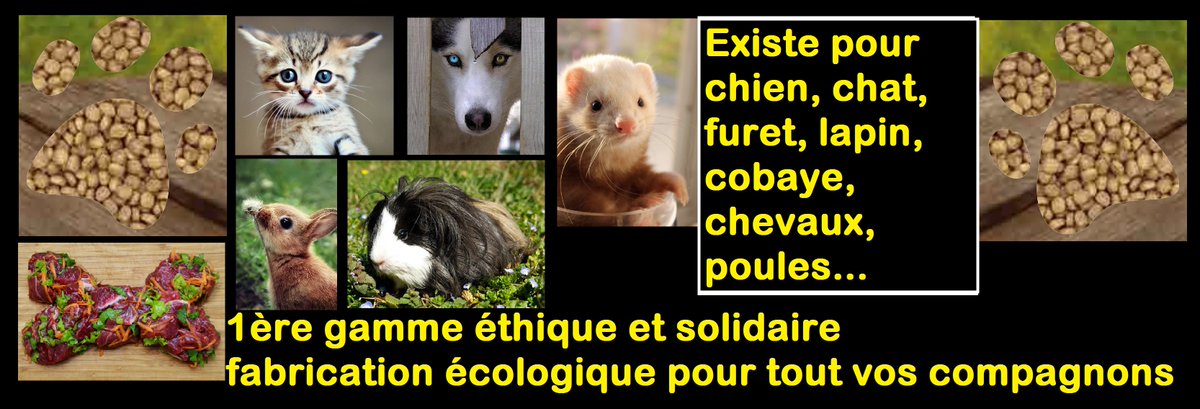 hope_petfood's tweet photo. https://t.co/SBj8RfQinA #éthique et #solidaire https://t.co/GfrcW6SsCq
