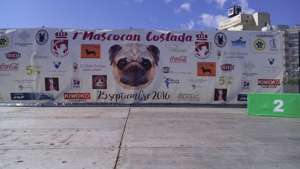 mascotall's tweet photo. @MascocanCoslada, todo un éxito. https://t.co/TuMlspCx2m