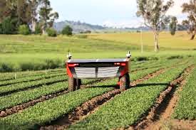 FuturAgricultur's tweet photo. 2 #robots agricoles Australiens sortent des ateliers et font leur 1er pas aux champs
#AgroBot
#AgricultureduFutur 
https://t.co/vS7s0omvUE https://t.co/oWptNWax7y