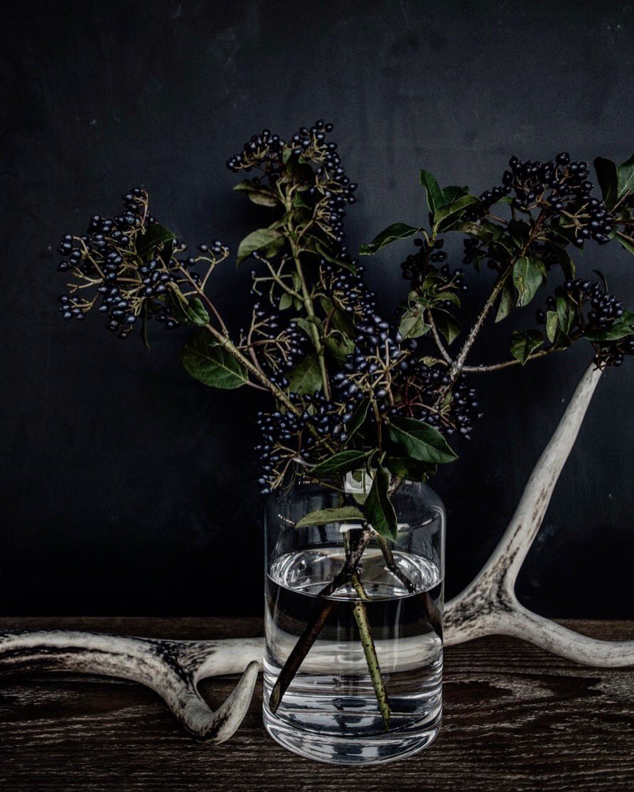 Rahsi_'s tweet photo. #lifestyleblogger #foodblogger #nature #farmers #decoracion #interiordesign #morning #mood #photography #photooftheday https://t.co/GSYQT6TuFC