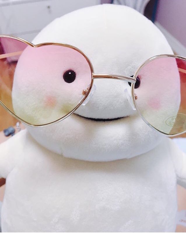 peachxpls's tweet photo. 📢พรีตุ๊กตาไขมันจีบังงี 
ขนาด 14 ซม. (แบบพวงกุญแจ) 450฿ 
ขนาด 28 ซม. 600฿
มี3สี = ขาว เบจ ชมพู 
ปิดรับ 04/10 ส่งของ 15/10 https://t.co/YwqHKlQ31c