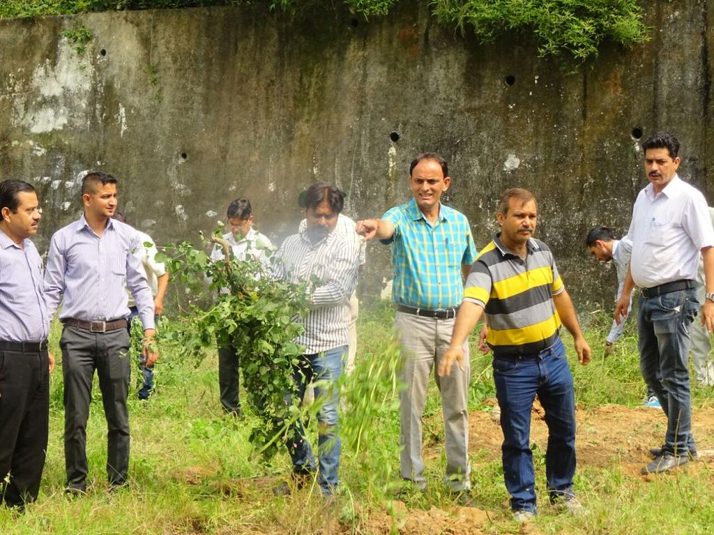 ReasiDc's tweet photo. DC office block no. 2 swach Bharat abhiyan https://t.co/p3eMNLGB4V