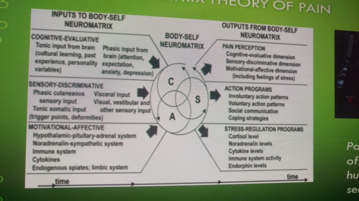 #Pain - is the gate theory too simple? neuro - matrix theory perhaps more accurate <a href="/WUWHSCONGRESS/">WUWHS CONGRESS</a>