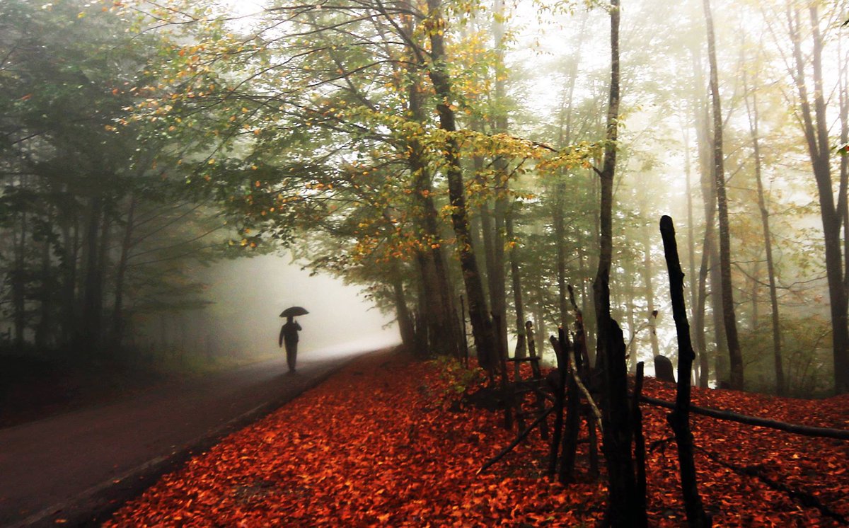 Eylül toparlandı gitti işte,
Ekim filan da gider bu gidişle,
Tarihe gömülen koca koca atlar,
Tarihe gömülür o kadar...

Turgut Uyar