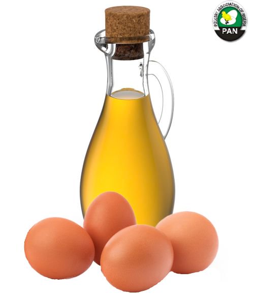 poultryng's tweet photo. Do you know that #eggs mixed with #olive oil helps stimulate #hair  growth and prevents breakage?  #poultry https://t.co/wZa1Wbe8K7