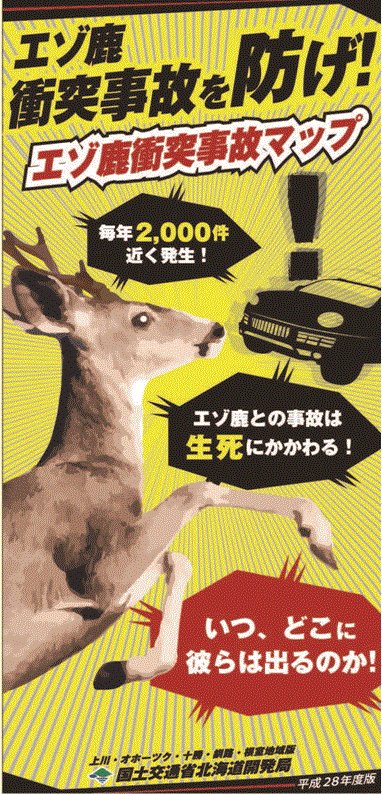 山道の運転は要注意 鹿に気を付ける7つのポイント Do Life ドライフ