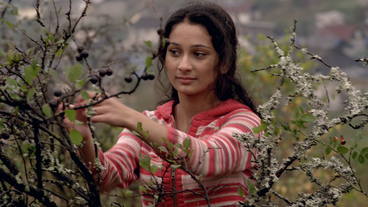 Missa inte helgens Roma Festival med film, konserter och viktiga debatter. Nästan alla programpunkter har fri entré. reorient.se