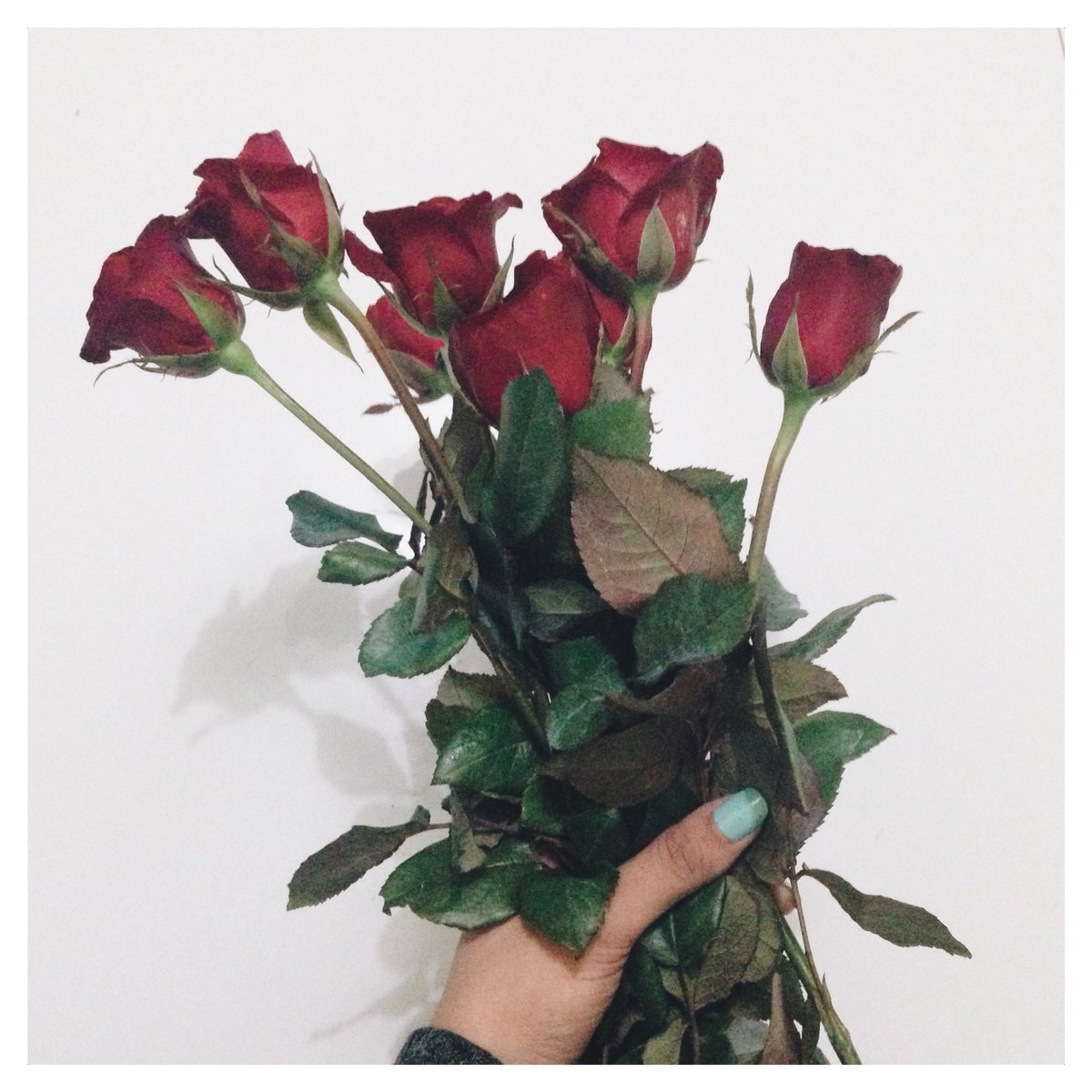 cheskagarchi_'s tweet photo. Thank you USI HASHTAGS sa pa roses hahahahaha chos #judge #UGAMES16 #UROYALTIES16 https://t.co/jmNrNehQTO