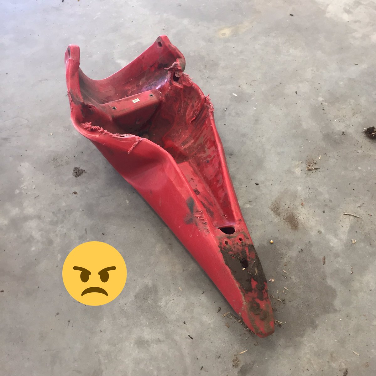 HowardElliott4's tweet photo. Snout worms were out last night and got the old guy. https://t.co/QrZX5YNLqq