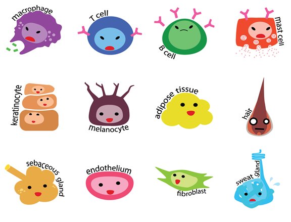 the Runaway tweet media