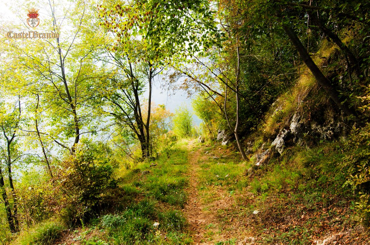 CastelBrando's tweet photo. Una passeggiata nel bosco di CastelBrando... https://t.co/ZlxB4i3G1I