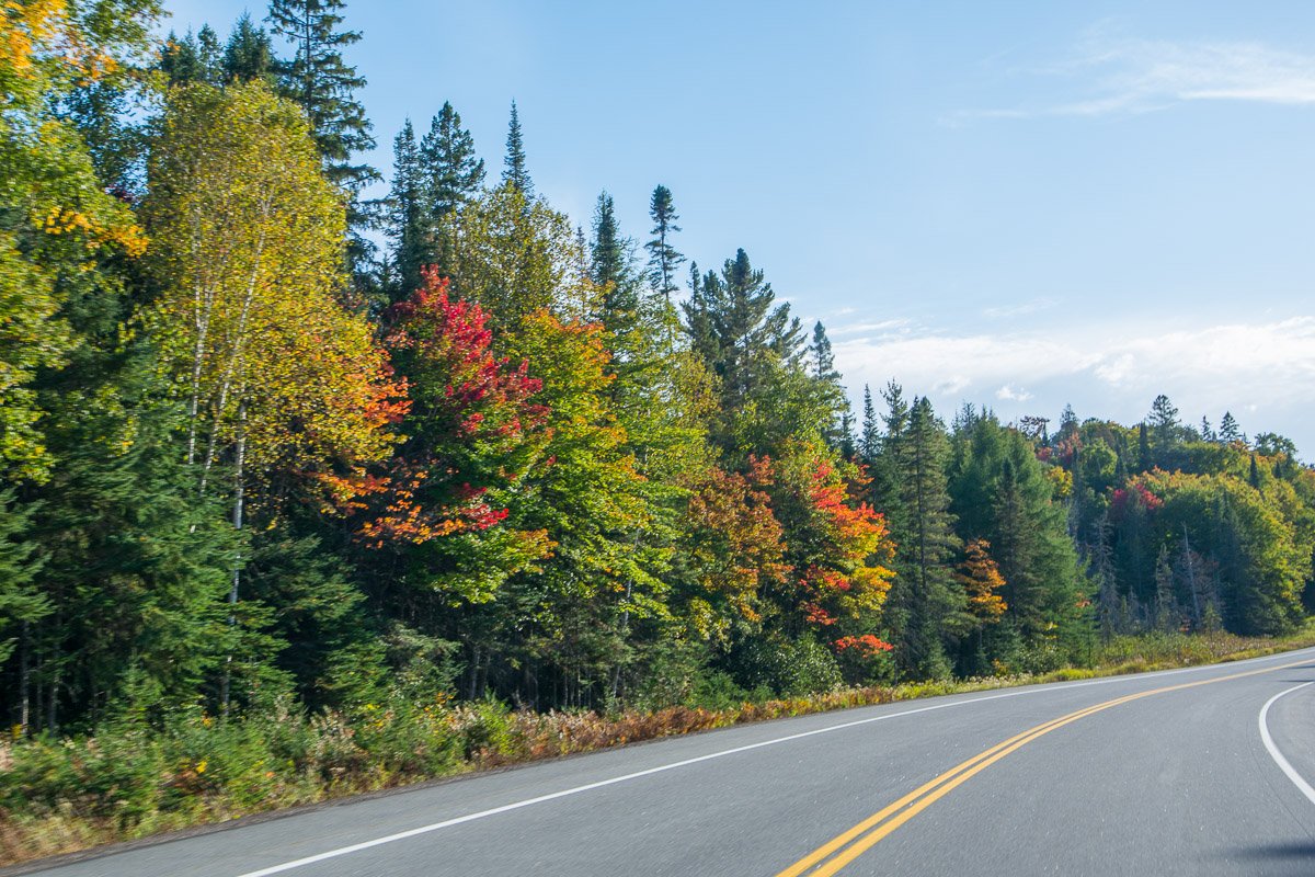 algonquinoutfit's tweet photo. #FallColour in @Algonquin_PP #AlgonquinPark is nearing peek! https://t.co/e6nK9BebxN #Autumn #Fall #ColourReport #FallReport @OntarioParks https://t.co/OEBOWeDfuV
