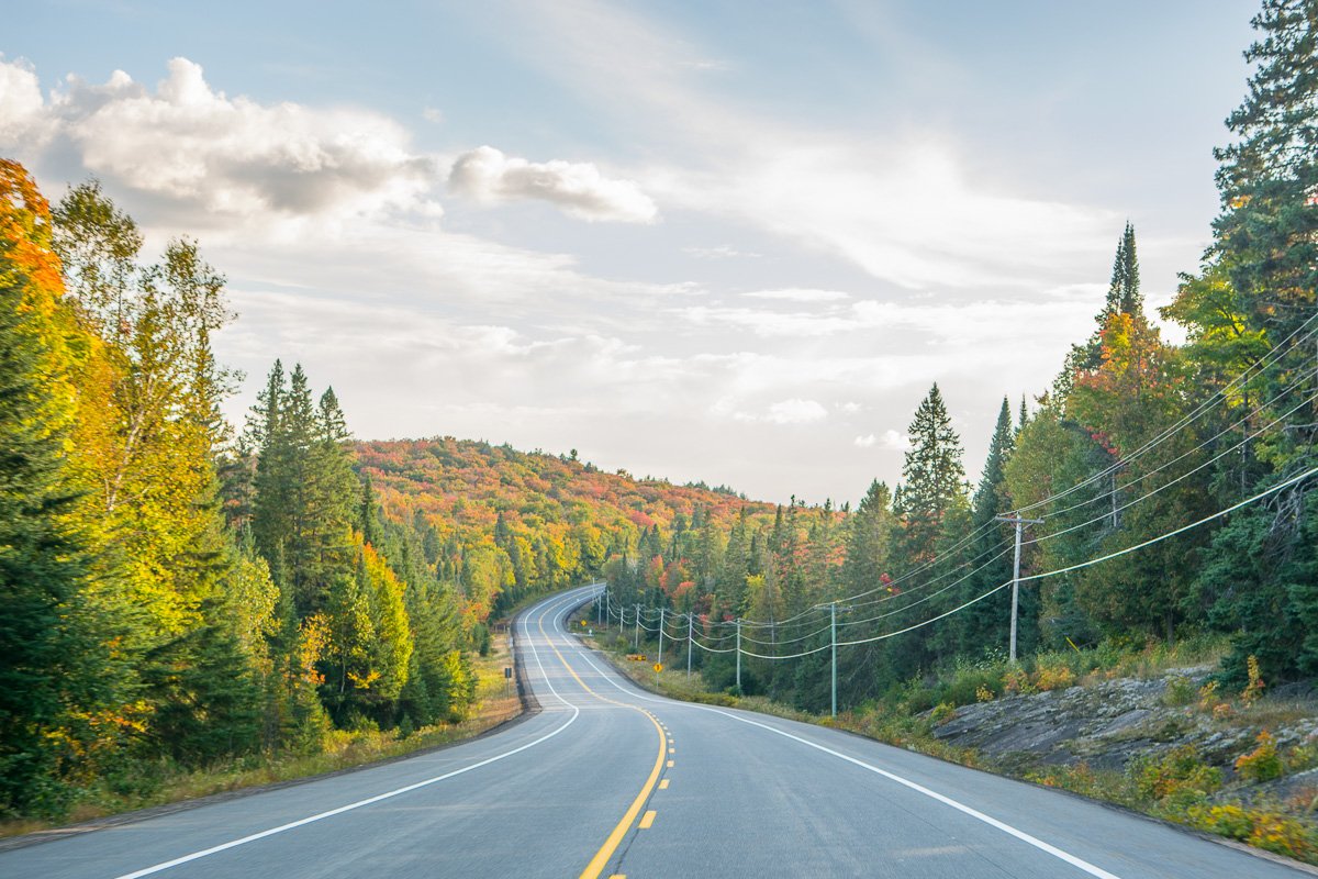 algonquinoutfit's tweet photo. #FallColour in @Algonquin_PP #AlgonquinPark is nearing peek! https://t.co/e6nK9BebxN #Autumn #Fall #ColourReport #FallReport @OntarioParks https://t.co/OEBOWeDfuV